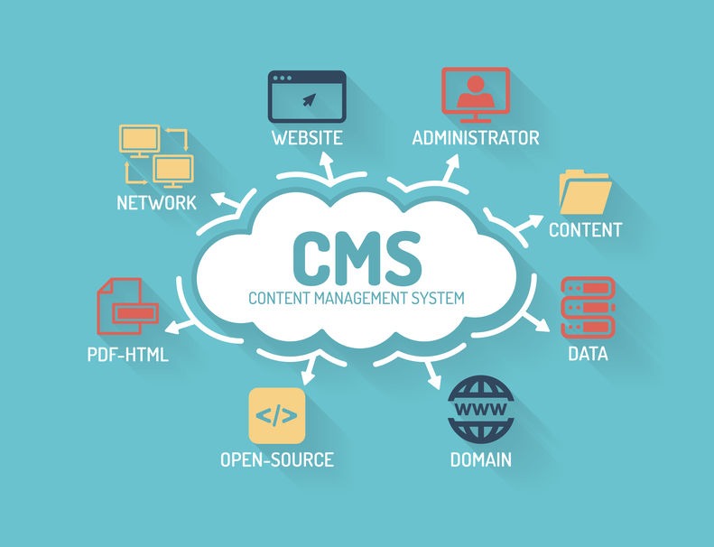Content Management Systems: Choosing the Right Platform for Your Website